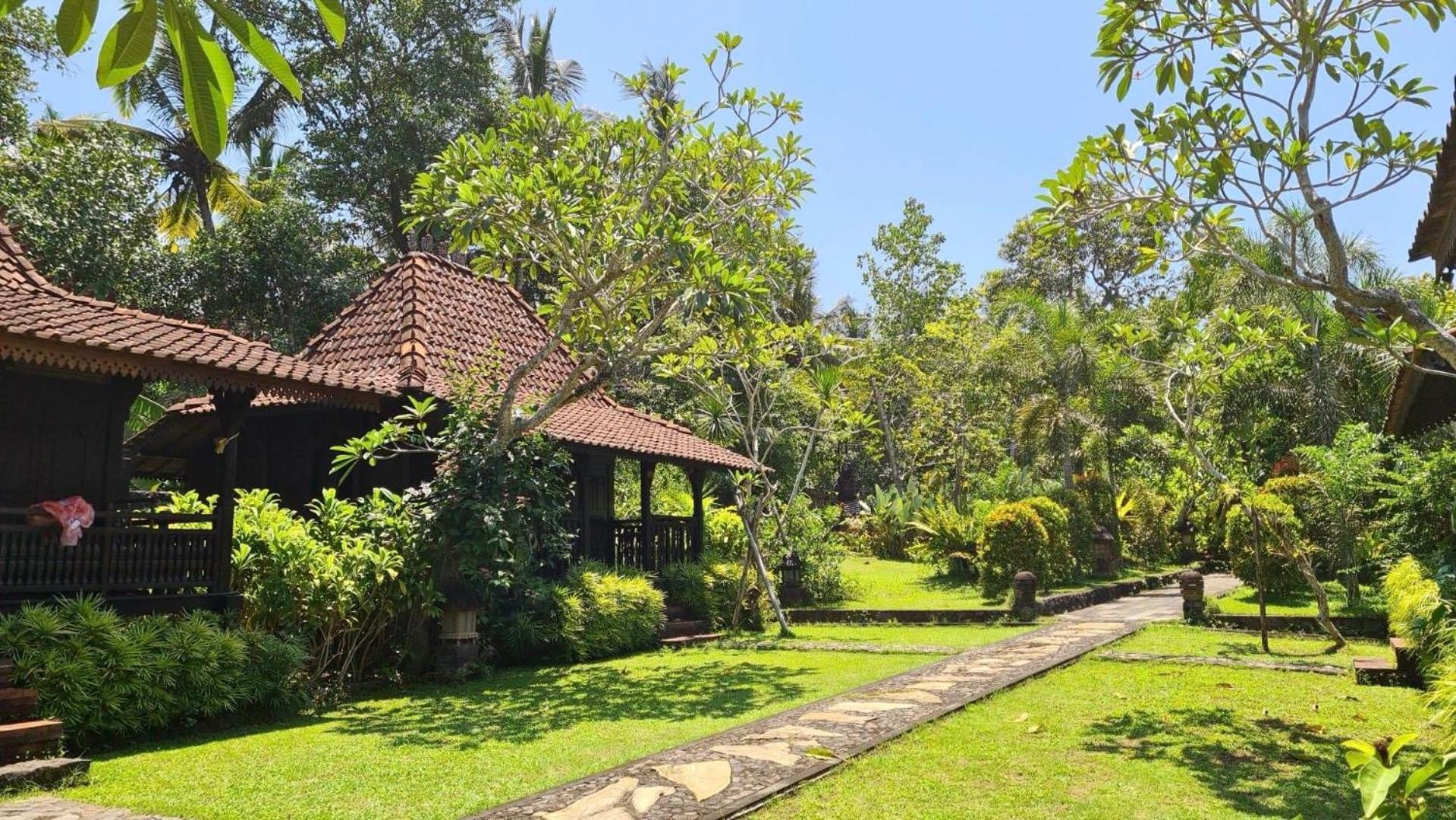 Alas Arum Ecolodge Selemadeg Esterno foto
